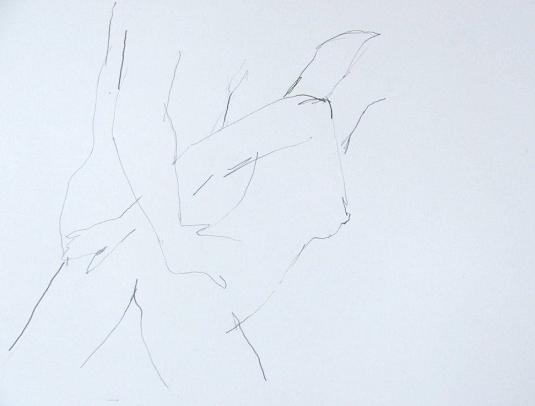 Minimalistische erotische lijntekening van kunstenaar Mart Franken op wit papier